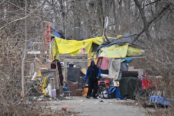 A large encampment built among trees