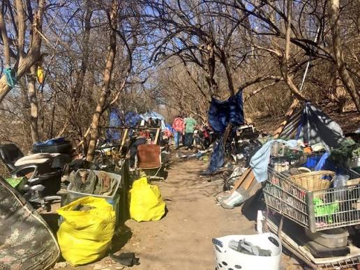 Belongings and shelters lining a wooded path